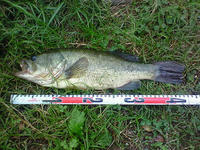 200809140634000.jpg
