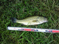 200809140949000.jpg