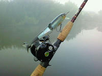 200809230532000.jpg