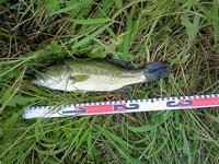 200809231156000.jpg