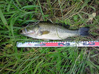 200809231300000.jpg