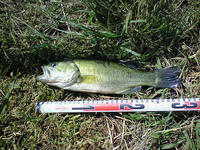 200810131127000.jpg