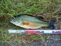 200810131620000.jpg
