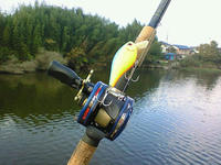 200811020633000.jpg