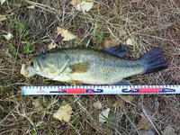 200811020647000.jpg
