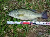 200811090815000.jpg