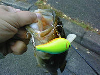 200811160731000.jpg