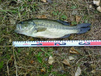 200811160732000.jpg
