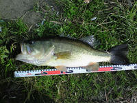 200811230909000.jpg