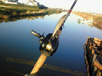 200811300722000.jpg