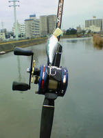 200812130736000.jpg