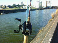 200812270904000.jpg