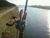 200901170817000.jpg