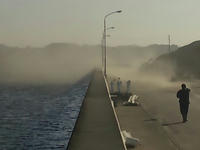 090208_084403_ed.jpg