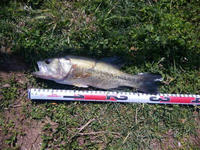 090411_132100_ed.jpg