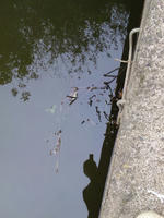 DVC00141.JPG