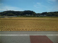 cf1a8876.JPG