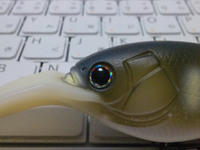 096056fa.JPG