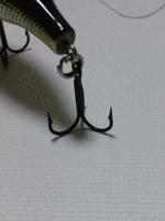 DVC00030.JPG
