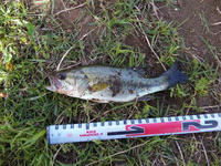 110502_074745_ed.jpg