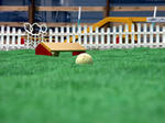 0617_4.jpg
