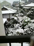 2009012510080001.jpg