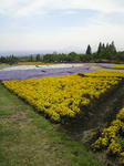 2009051814590000.jpg