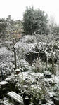 2010031011150000.jpg