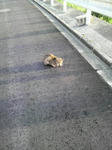 2010040217420000.jpg