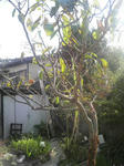 2010110614110000.jpg