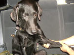 DSCN2066.JPG