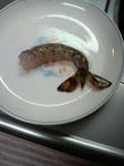 2010121621030000.jpg
