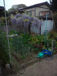 110422_095707.jpg