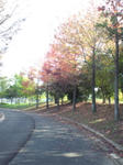 1b3988e1.jpg