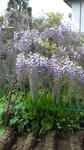 130409_103854.jpg