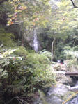 d49e5d86.jpg