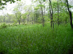 b34696ca.JPG