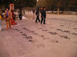 4d5ab780.jpg