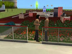 snapshot_f9ce3c7d_1ba6c999.jpg