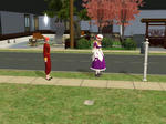 snapshot_39cf735a_dba981f5.jpg