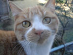 DSC00453.JPG