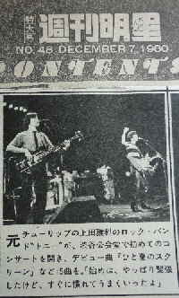 tulip-ueda