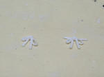 DSCF4682.jpg