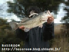 DSCF3436.jpg