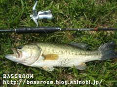 DSCF3505.jpg