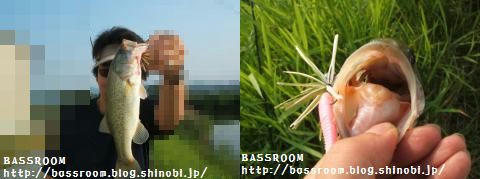 2008.7.14-1.jpg