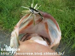 DSCF3615.jpg