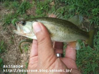 DSCF3667.jpg