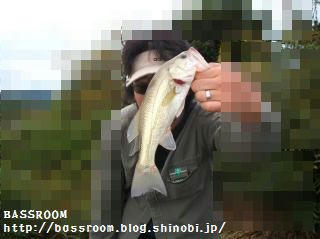 DSCF3684.jpg