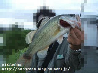 DSCF3687.jpg